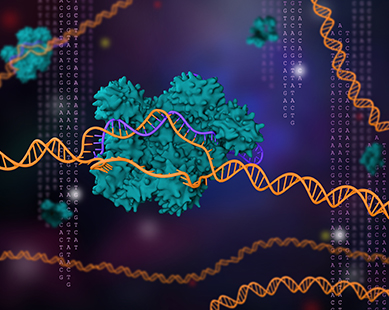 Topic Thumbnail Image